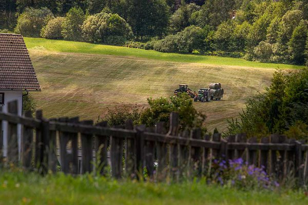 Urlaub im Bayerischen Wald Arberregion